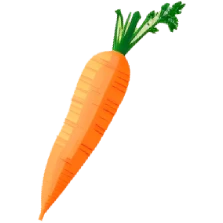 basic carrot