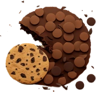 basic chocolate chips