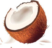 basic coconut