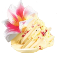 basic vanilla funfetti