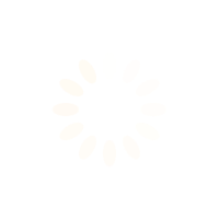 loading spinner